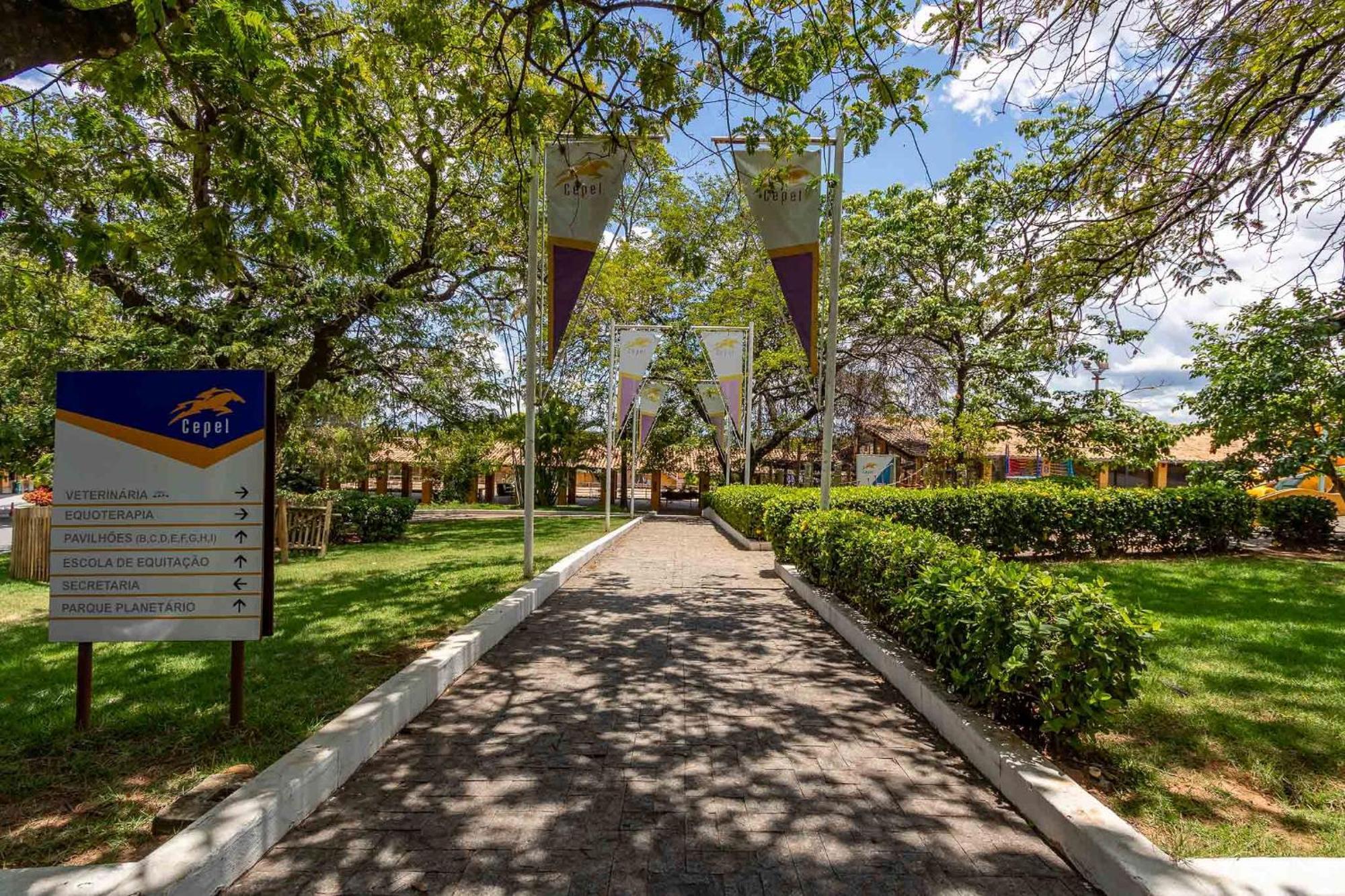 Hotel Cepel Suites